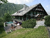 Góry, Restauracja, Lasy