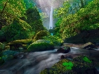 Rezerwat przyrody Columbia River Gorge, Stan Oregon, Wodospad Elowah Falls, Potok McCord Creek, Kamienie, Las, Stany Zjednoczone, Człowiek, Rzeka