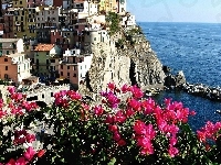 Riomaggiore, Liguria, Morze, Miasto, Bugenwilla