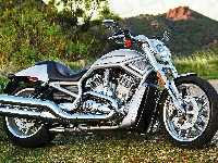 Harley-Davidson, V-Rod