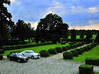 Samochody, Rolls Royce