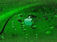 Rosa, Apple, Zielony, Liść, Logo