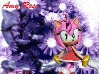 Amy Rose, Sonic