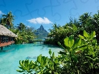 Roślinność, Chatka, Góra, Bora Bora