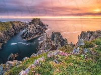 Roślinność, Wybrzeże, Morze, Zachód słońca, Hrabstwo Donegal Irlandia, Skały