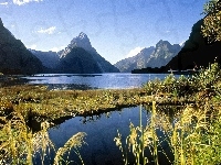 Roślinność, Nowa Zelandia, Jezioro, Góry, Milford