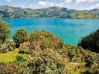 Roślinność, Jezioro, Góry, Nowa Zelandia