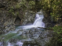 Rośliny, Wodospad, Skały, Park Narodowy Yoho, Rzeka, Twin Falls, Kanada