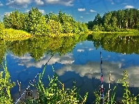 Rośliny, Chmury, Wędki, Jezioro, Odbicie, Kolorowe