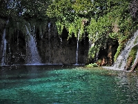 Rośliny, Park Narodowy Jezior Plitwickich, Chorwacja, Plitvice, Wodospad, Jezioro