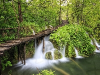 Rośliny, Park Narodowy Jezior Plitwickich, Wodospad, Pomost, Chorwacja, Drzewa