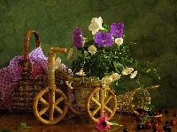 Rower, Kwiatów, Ściereczka, Bukiet, Wiklinowy, Kosz