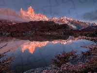 Drzewa, Odbicie, Jezioro, Patagonia, Park Narodowy Los Glaciares, Fitz Roy, Argentyna, Góra