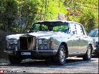 Rolls-Royce, drzewa