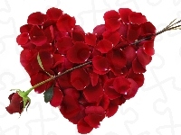 Róża, Serce, Walentynka, Czerwona, Płatki