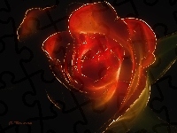 Róża, Grafika