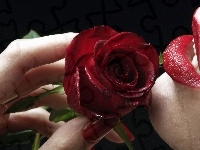 Usta, Róża, Dłoń
