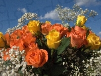 Róże, Kwiaty, Bukiet, Gipsówka