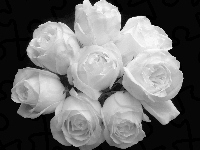 Róże, Bukiet, Czarno-Białe