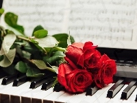 Róże, Fortepian