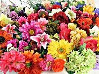 Róże, Kwiatów, Lilie, Bukiet, Gerbery, Hiacynty