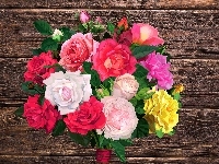 Róże, Bukiet, Kolorowe, Deski