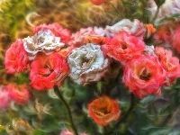 Kwiaty, Różę, Fractalius