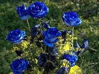 Róże, Kwiaty, Bukiet, Niebieskie, Żółte