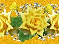 Róże, Grafika 2D, Kwiaty, Żółte, Tło