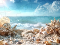 Niebo, Muszle, Plaża, Rozgwiazdy, Grafika, Morze