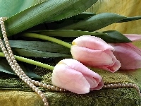 Tulipany, Różowe, Perły