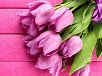 Tulipany, Różowe, Wiązanka