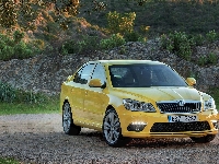 Rośliny, Octavia, Skoda, RS, Drzewo, Skała