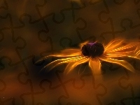 Kwiat, Rudbekia, Fractalius