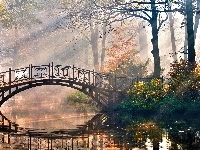 Rzeczka, Drzewa, Słoneczne, Park, Mostek, Promienie