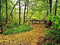 Rzeczka, Jesień, Stary, Park, Mostek