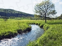Łąka, Rzeka, Las