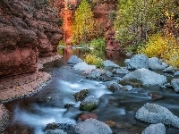 Arizona, Drzewa, Skały, Sedona, Rzeka Oak Creek, Stany Zjednoczone, Wąwóz Oak Creek Canyon, Kamienie
