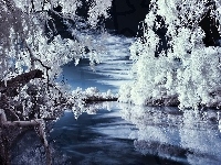 Rzeka, Zimowa, Aura, Drzewa