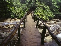 Rzeka, Rododendron, Most, Drewniany, Kamienie