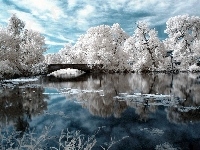 Rzeka, Zima, Białe, Drzewa, Mostek