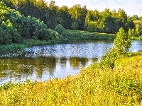 Drzewa, Rzeka, Jesień