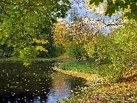 Drzewa, Rzeka, Jesień