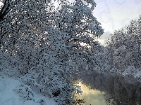Drzewa, Rzeka, Śnieg