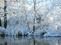 Drzewa, Rzeka, Zima
