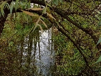 Głuszynka, Rzeka, Odbicie