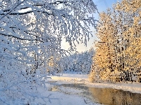 Karelia Północna, Śnieg, Las, Gmina Liperi, Drzewa, Finlandia, Zima, Rzeka