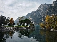 Góry, Rzeka, Drzewa