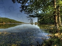 Góry, Rzeka, Lasy