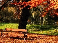 Ławka, Jesień, Park, Rzeka, Liście